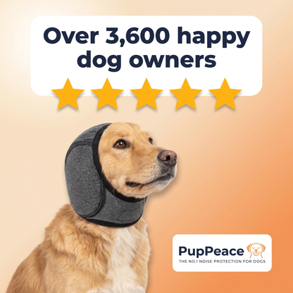 Peace Hood - Noise reduction for your dog VIP