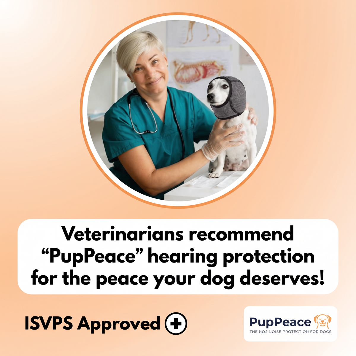 Peace wrap - Noise reduction for your dog